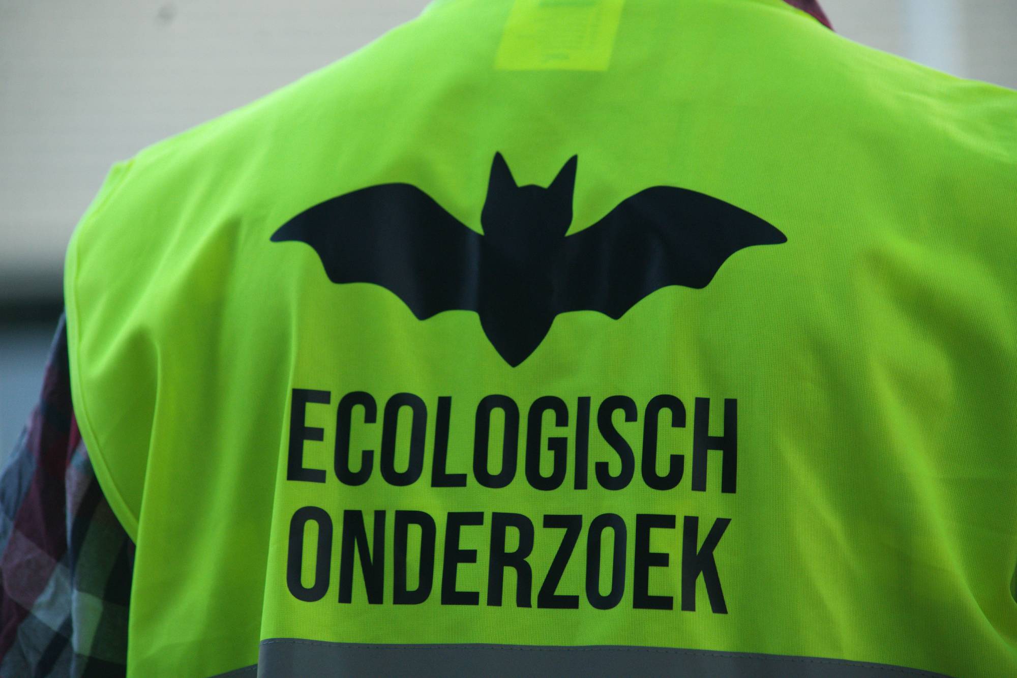 close-up van hesje met de tekst ecologisch onderzoek vleermuizen